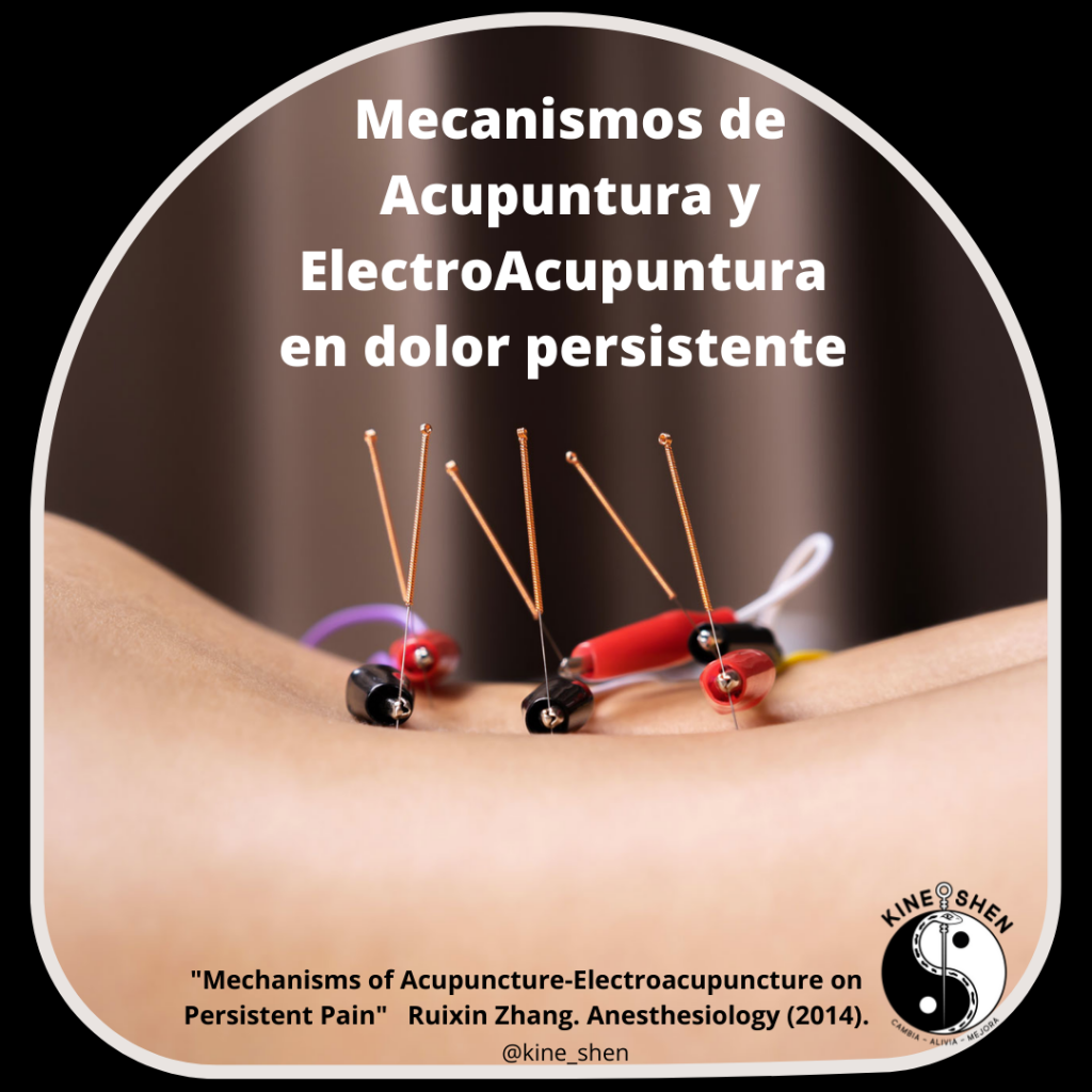 Mecanismos de Acupuntura y EA en dolor persistente